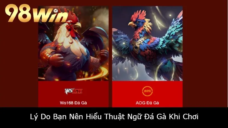 Lý Do Bạn Nên Hiểu Thuật Ngữ Đá Gà Khi Chơi