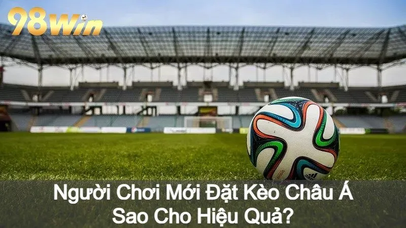 Người Chơi Mới Đặt Kèo Châu Á Sao Cho Hiệu Quả?