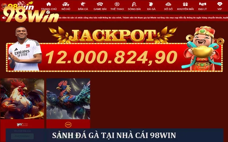 Sảnh Đá gà hấp dẫn tại nhà cái 98 win