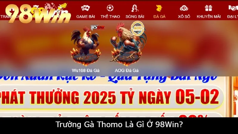 Trường Gà Thomo Là Gì Ở 98Win?