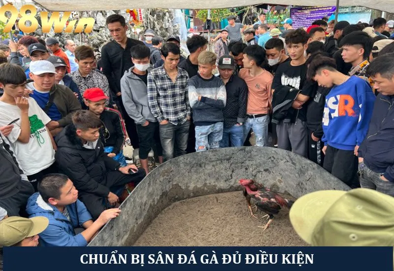 Chuẩn bị sới gà diễn ra trận đấu